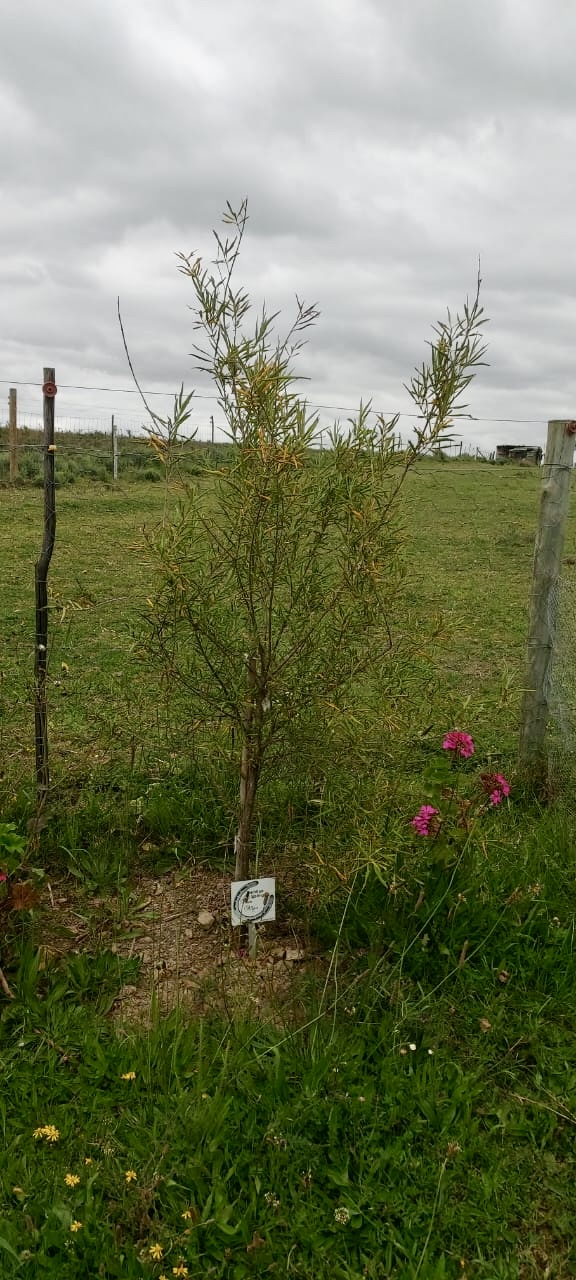 0 Bedroom Property for Sale in Swellendam Rural Western Cape